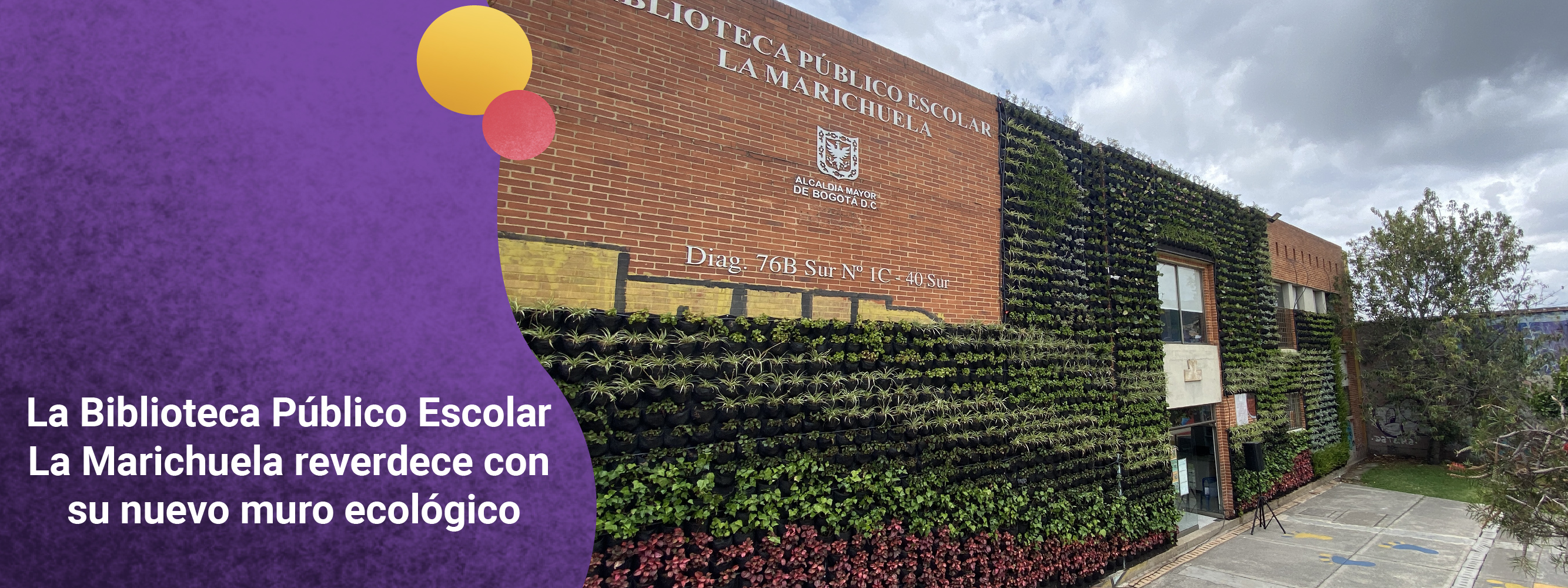 La Biblioteca Público Escolar La Marichuela reverdece con su nuevo muro ecológico