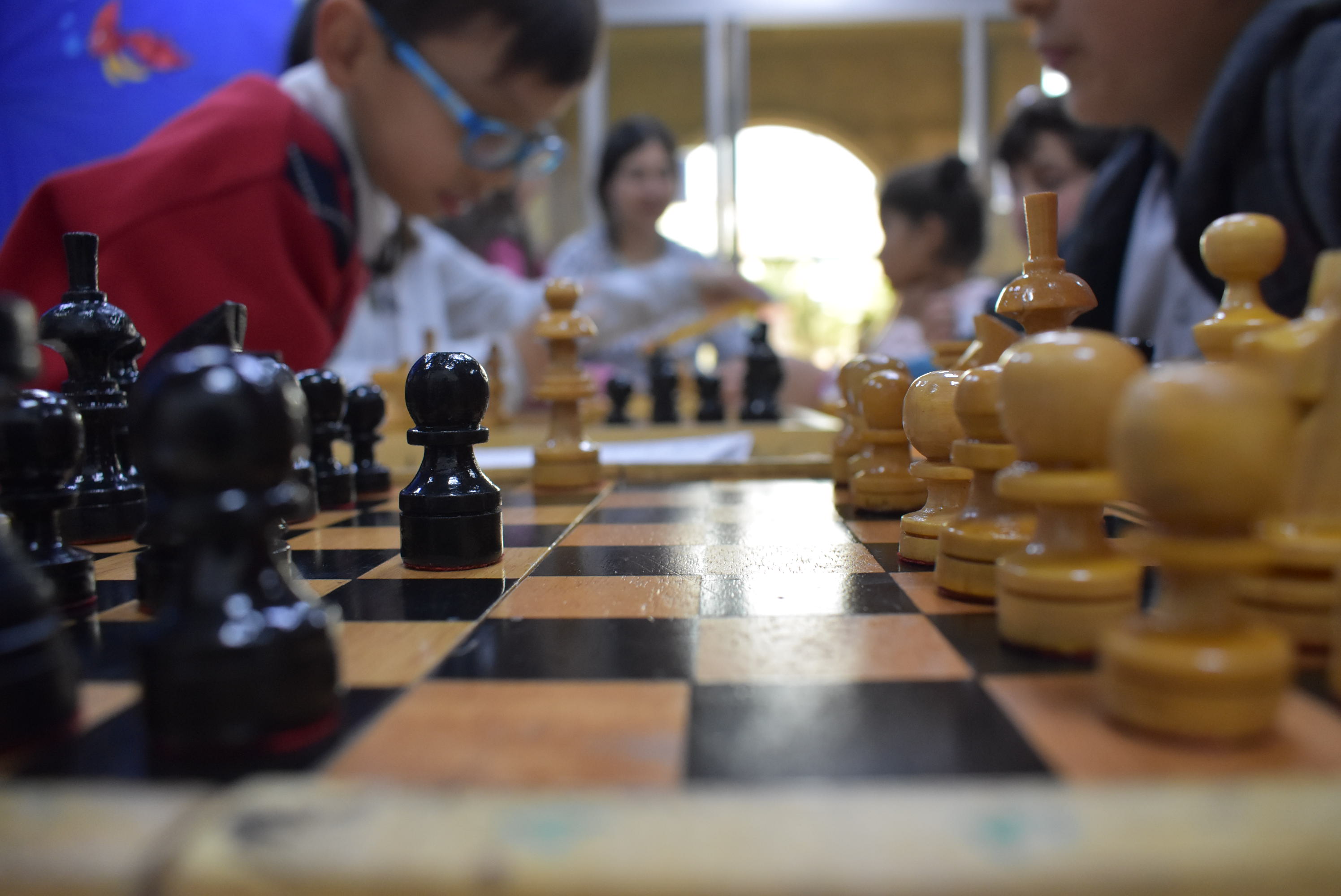El ajedrez ecofantástico