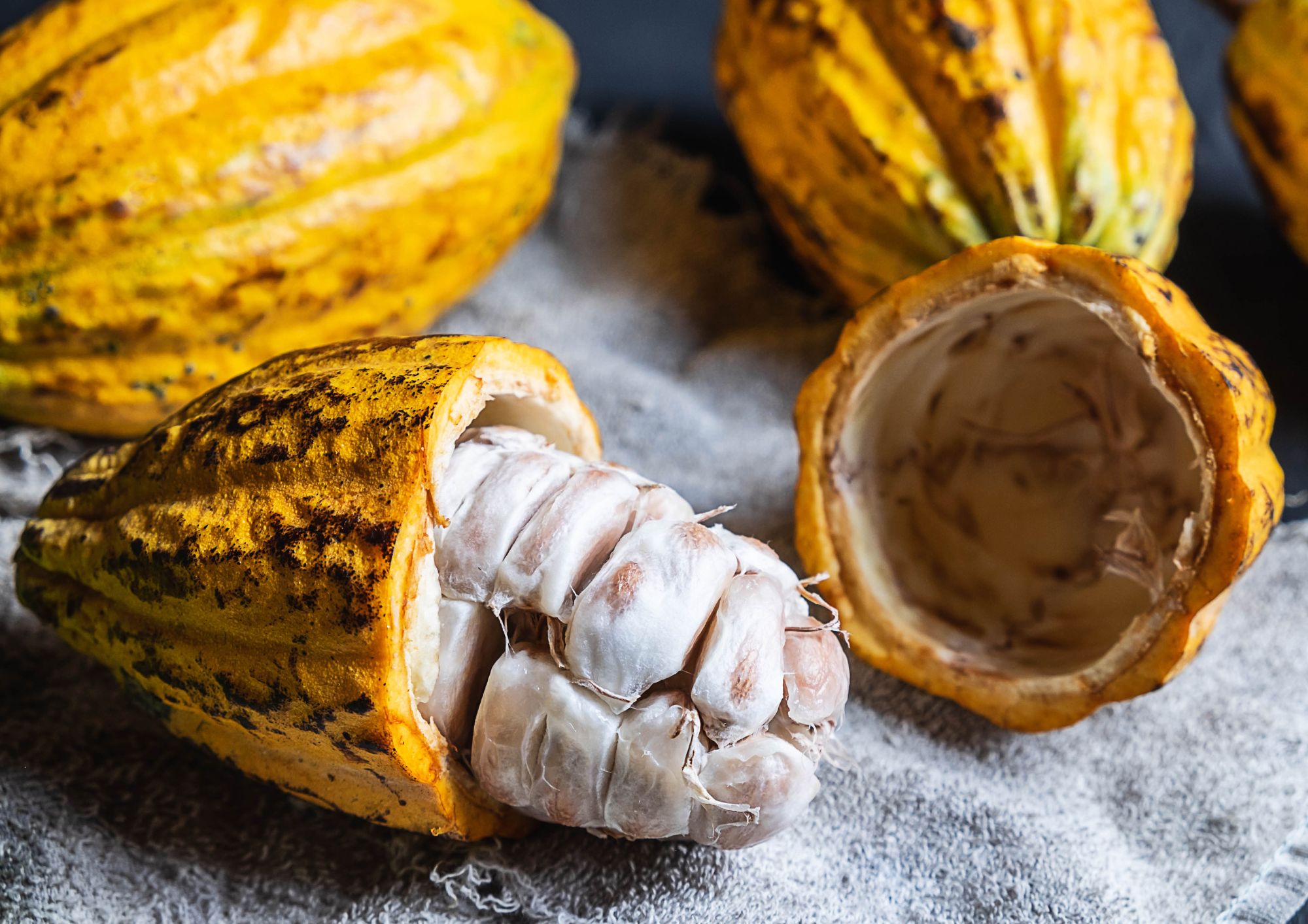 ? Palabra y Cacao: Un encuentro de sabores y significados