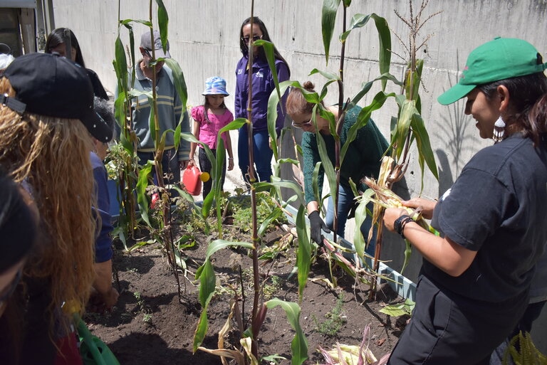 Espacio de huerta que promueve y trabaja en comunidad la tierra