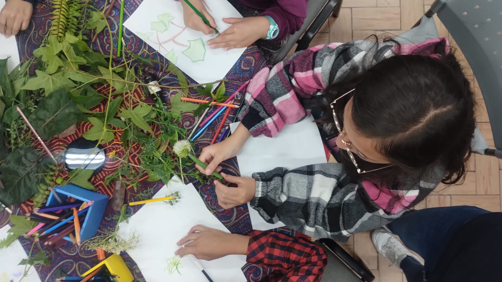Niños con plantas 
