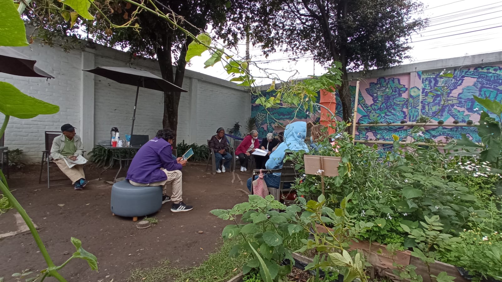 Personas participando en actividades de siembra en la huerta de la biblioteca