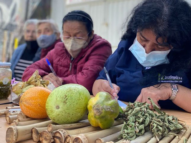 Mujeres en actividad de escritura al aire libre