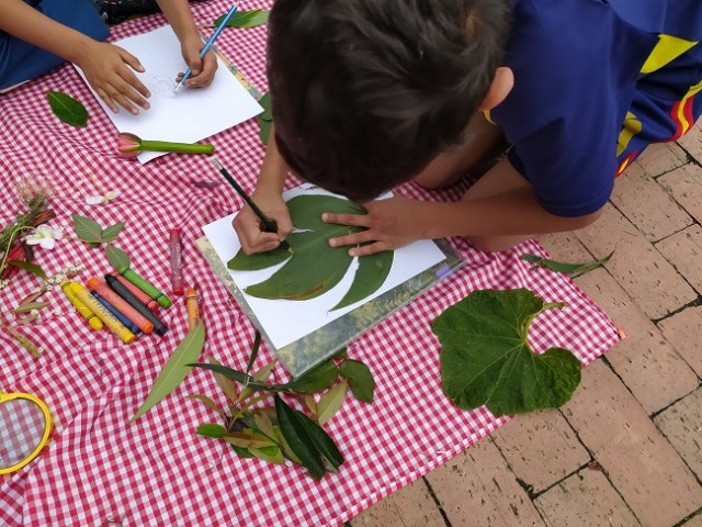 Niño calcando una hoja