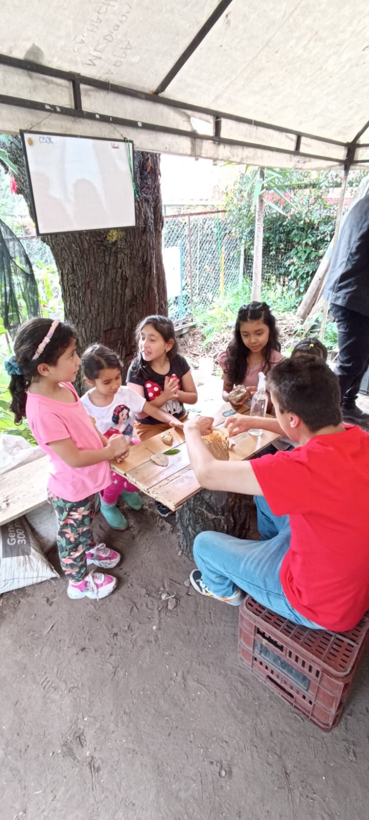 Actividades para niños en BibloRed