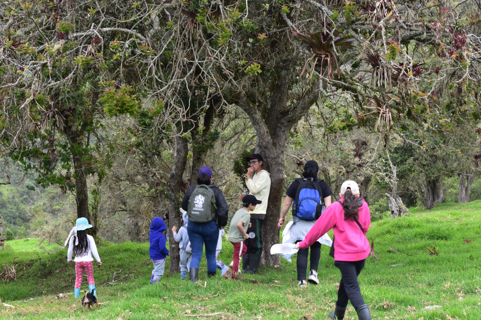 Niños y niñas participando de actividad en la biblioteca