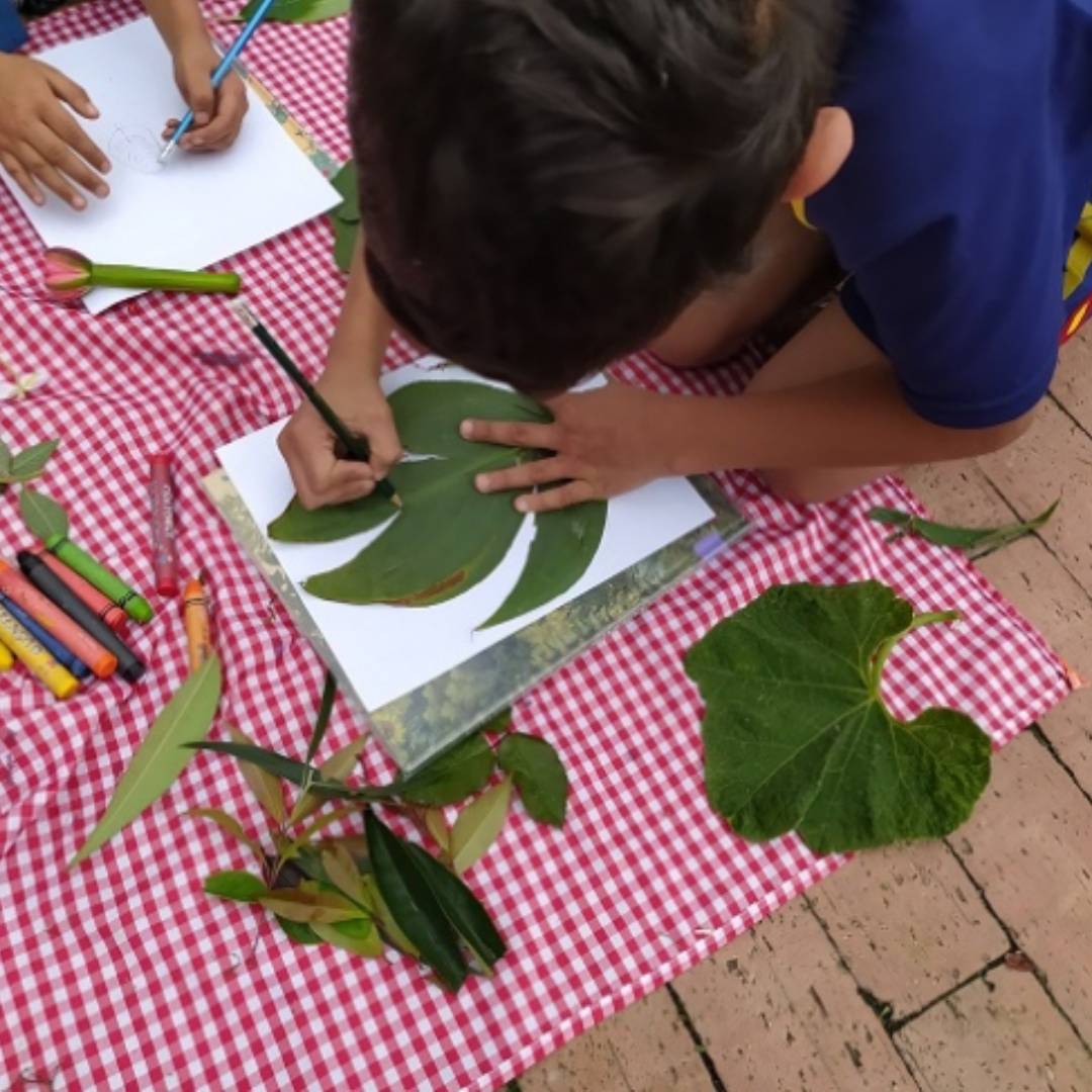 Niño dibujando una hoja