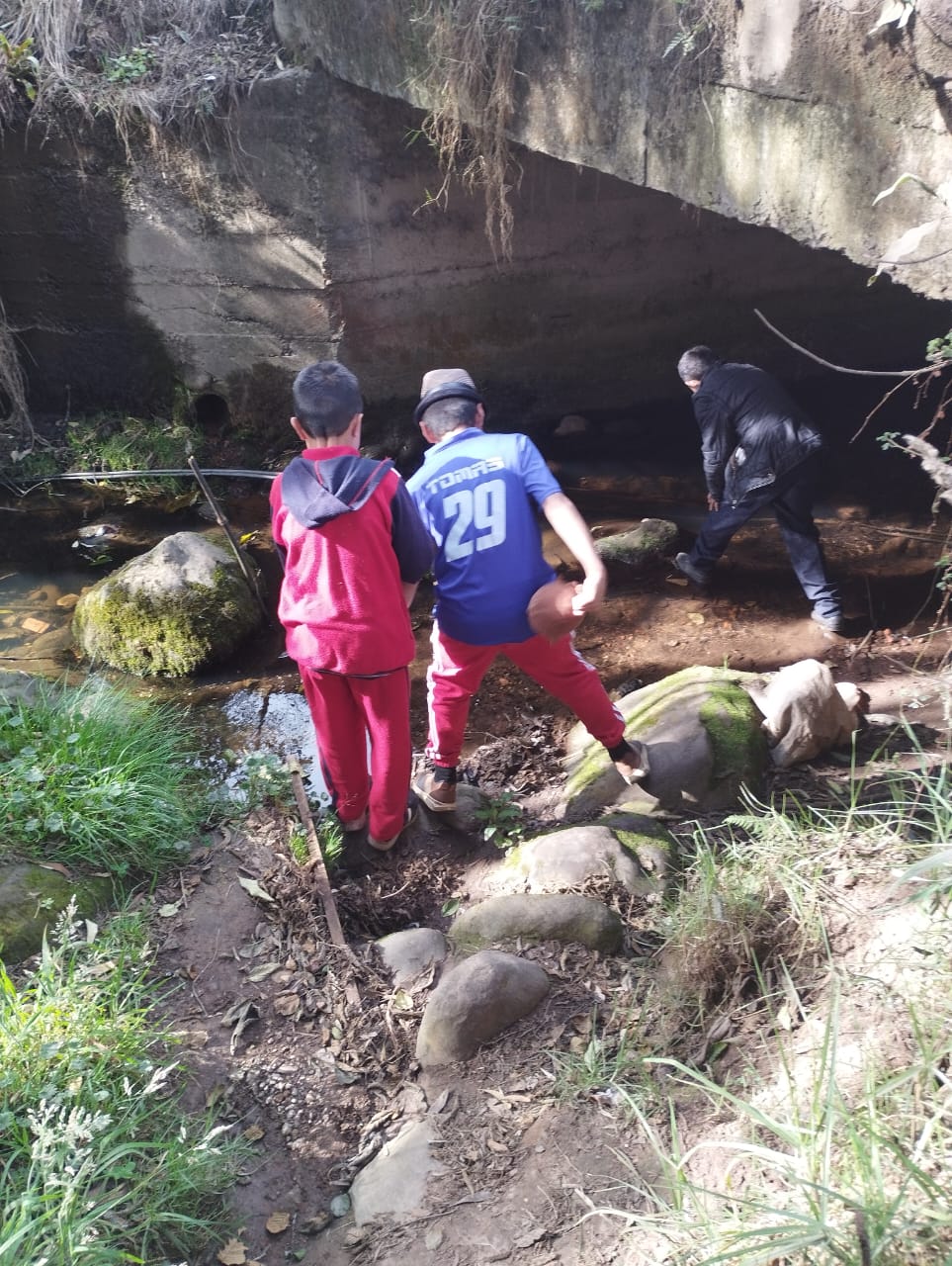 Niños divirtiéndose en actividad de biblovacaciones