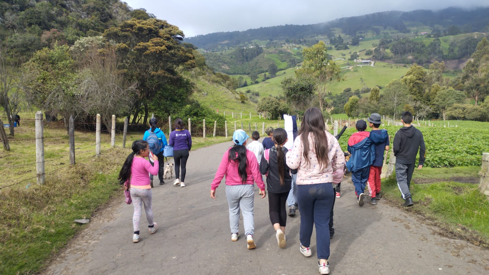 grupo de niños en medio de una caminata ecológica 