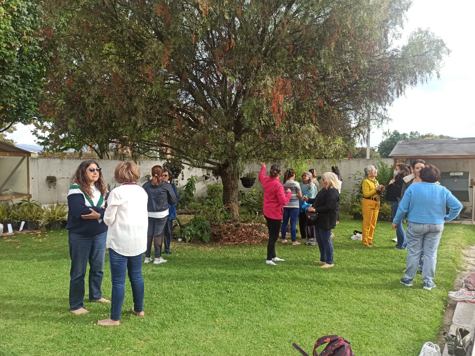 Clubes de lectura en BibloRed