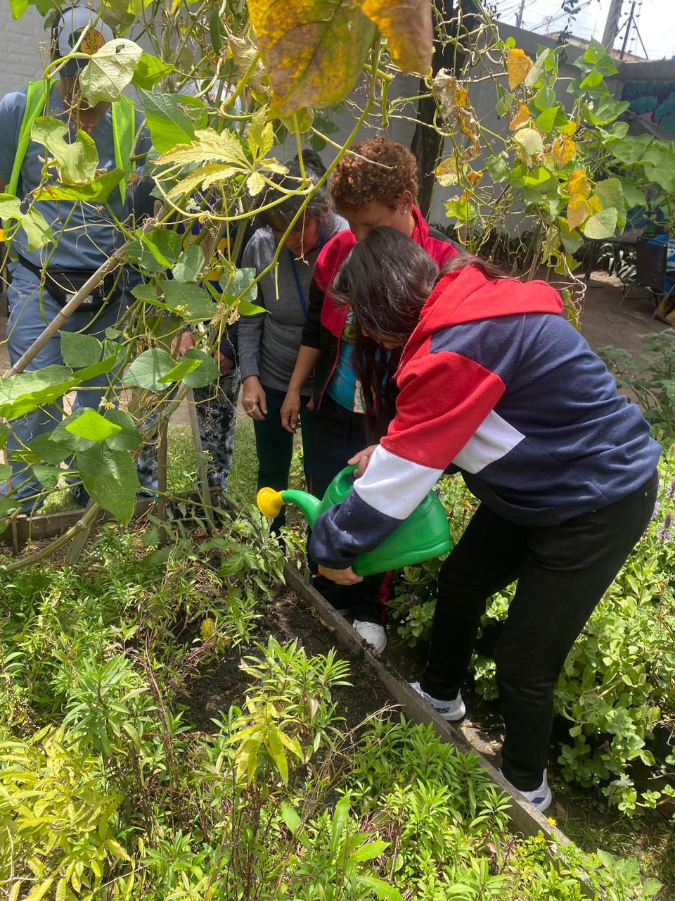 Usuarios participando en actividades de huerta en la biblioteca