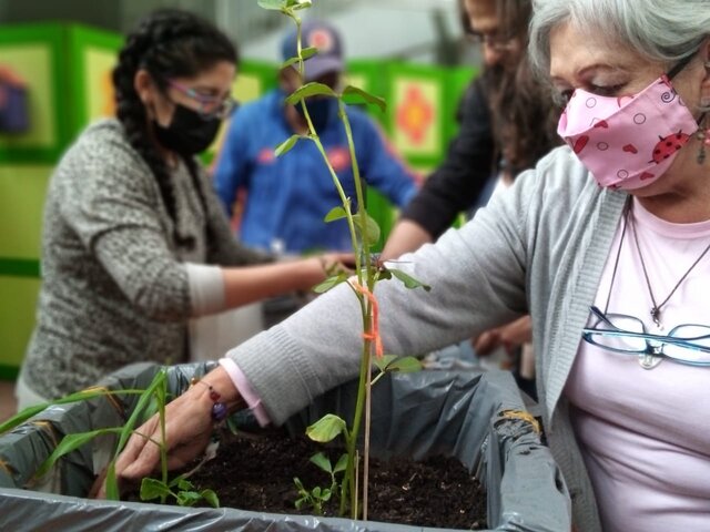 Mujeres cuidando una huerta