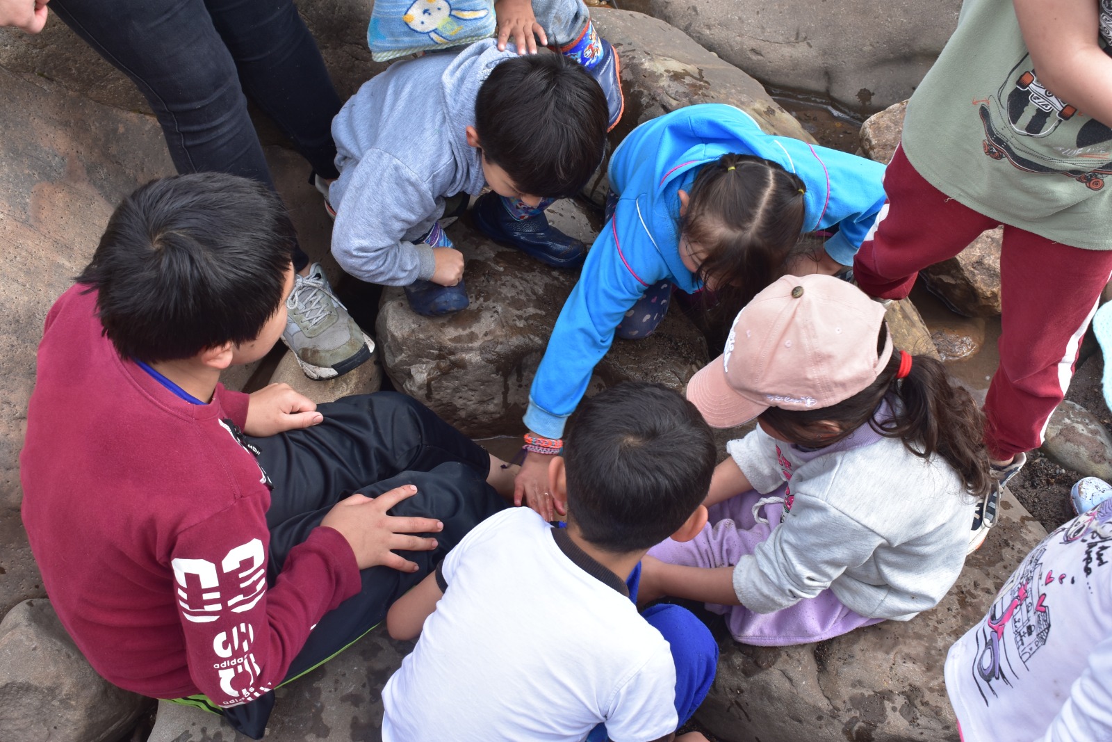 Niños y niñas participando de actividades