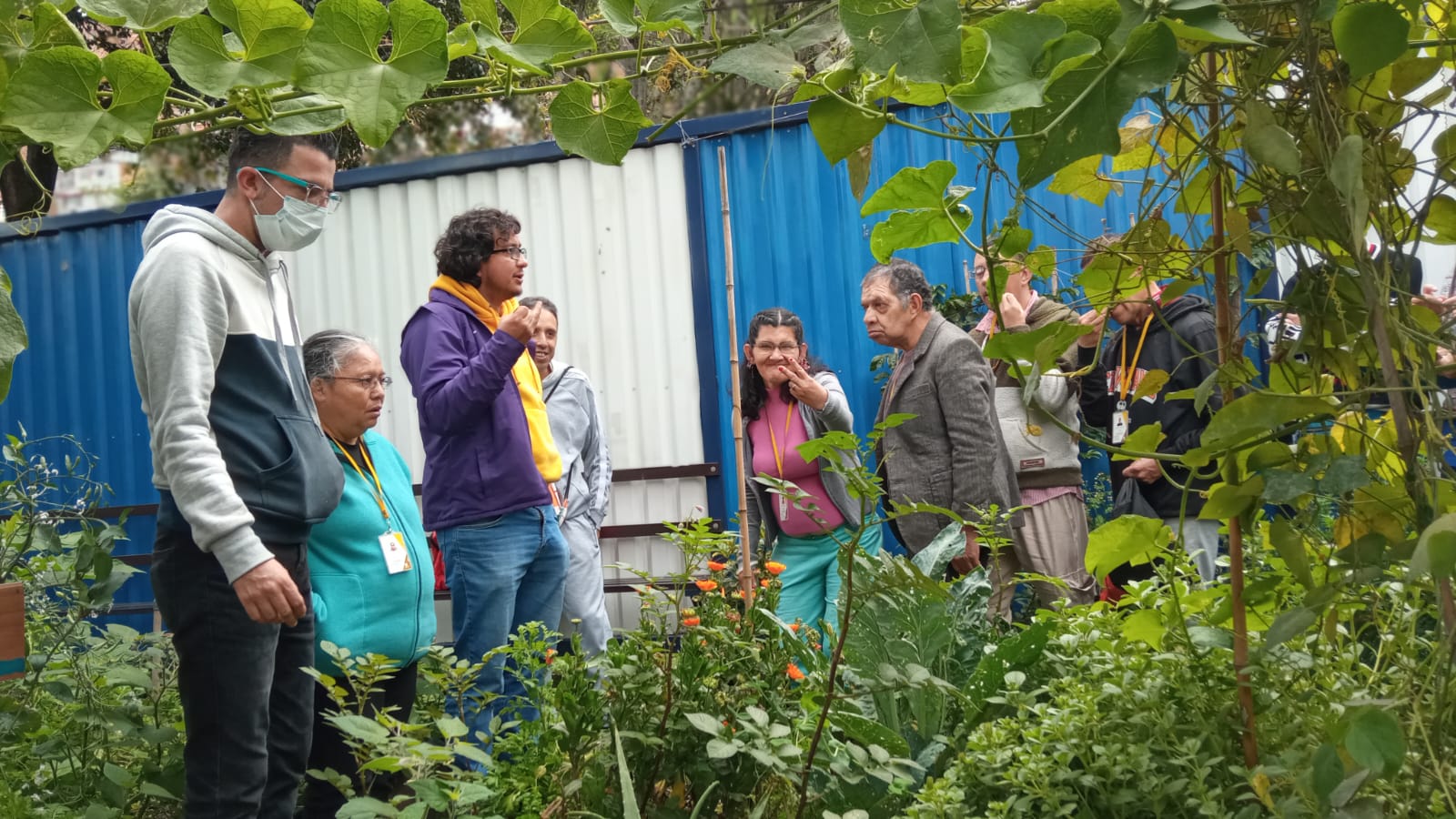 grupo de adultos mayores en medio de una caminata a través de la huerta