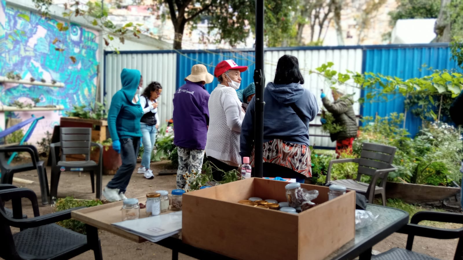 Usuarias participando en la huerta bibliotecaria