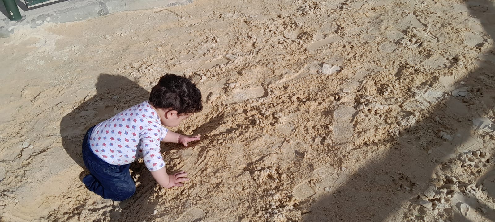 Agenda de actividades y programación cultural en las bibliotecas públicas de Bogotá, BibloRed