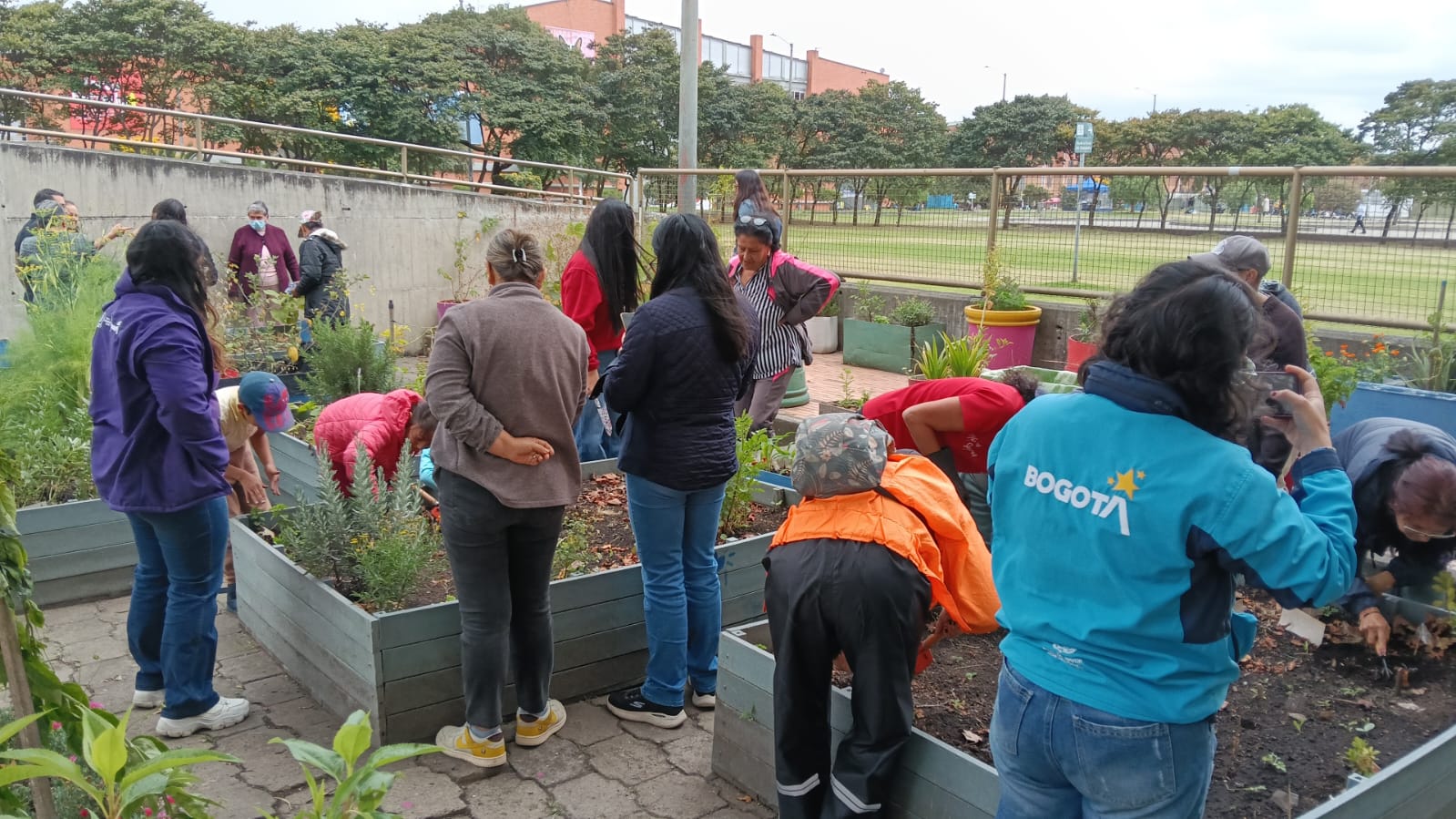 Agenda de actividades y programación cultural en las bibliotecas públicas de Bogotá, BibloRed