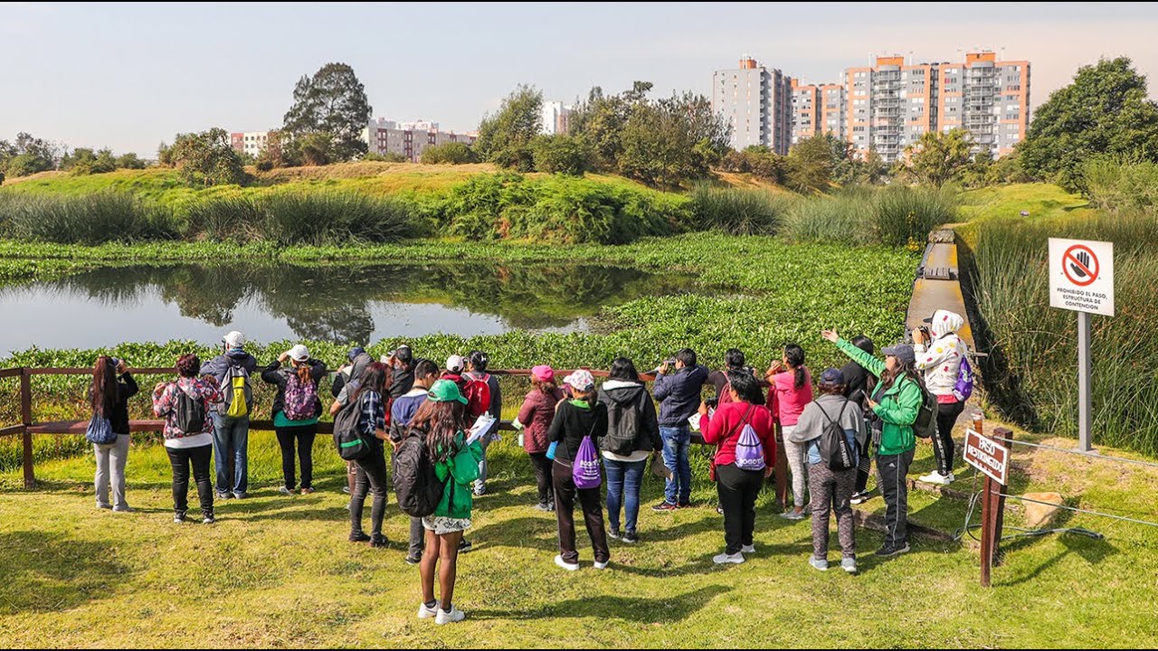 Agenda de actividades y programación cultural en las bibliotecas públicas de Bogotá, BibloRed