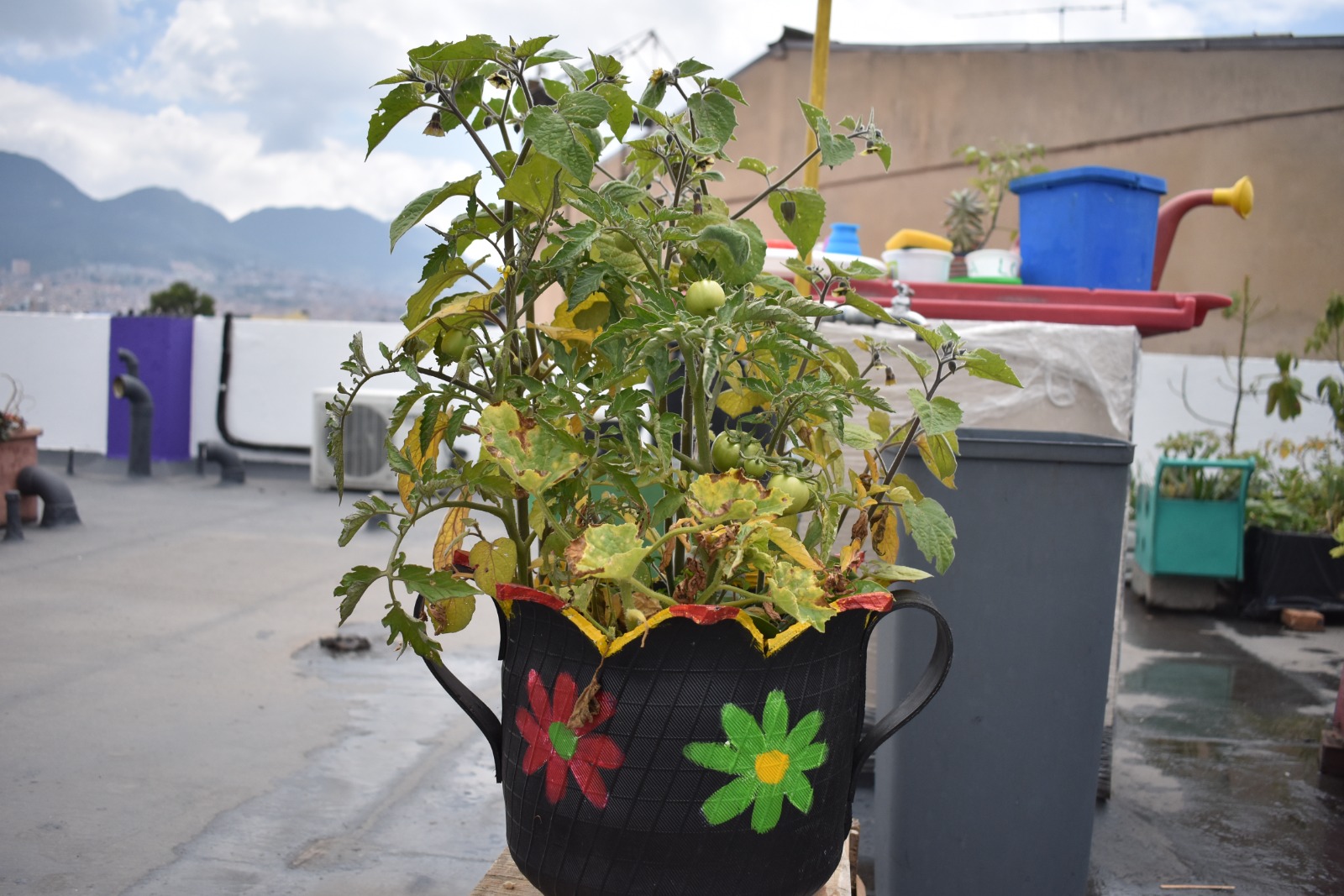 Entre plantas y memorias Agenda de actividades y programación cultural en las bibliotecas públicas de Bogotá, BibloRed,