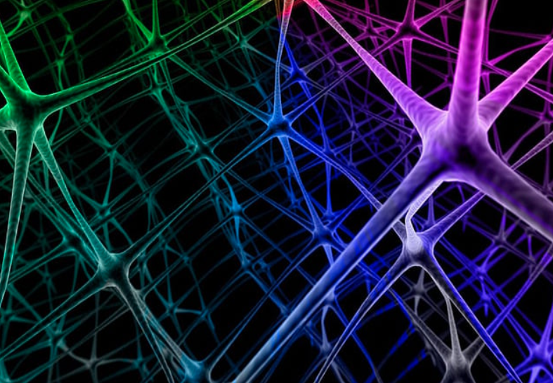 Agenda de actividades y programación cultural en las bibliotecas públicas de Bogotá, BibloRed