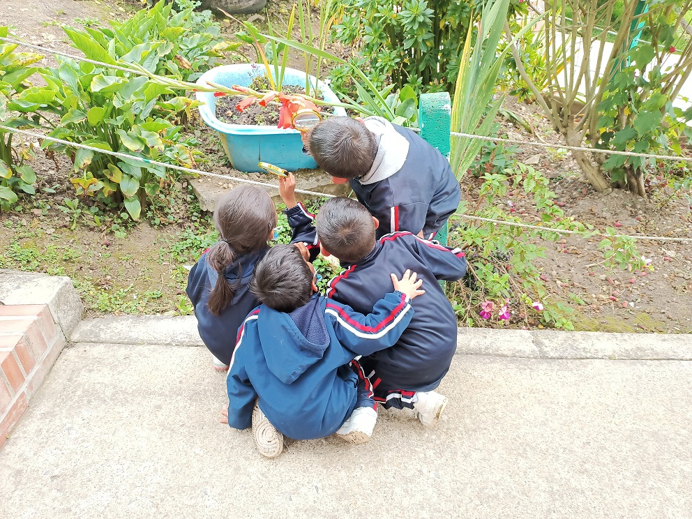 Agenda de actividades y programación cultural en las bibliotecas públicas de Bogotá, BibloRed,