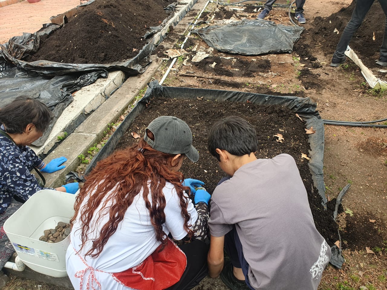 Agenda de actividades y programación cultural en las bibliotecas públicas de Bogotá, BibloRed