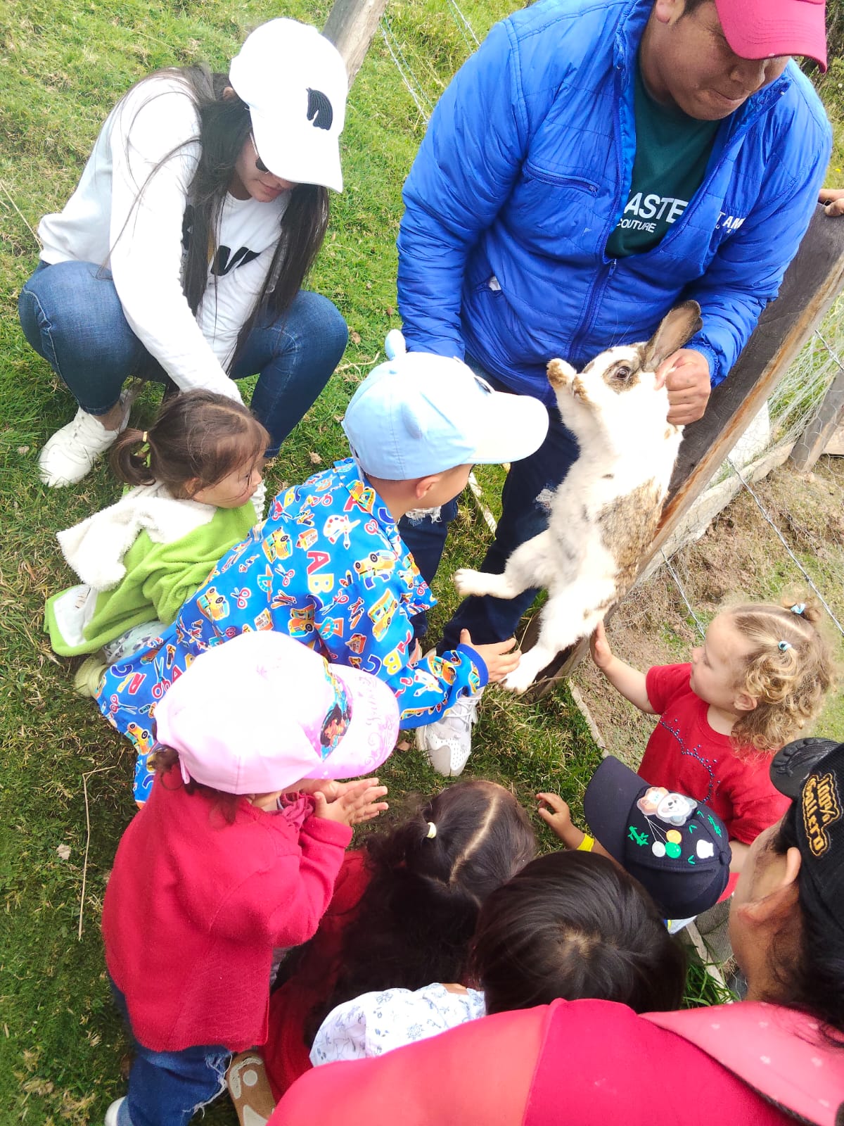 Agenda de actividades y programación cultural en las bibliotecas públicas de Bogotá, BibloRed