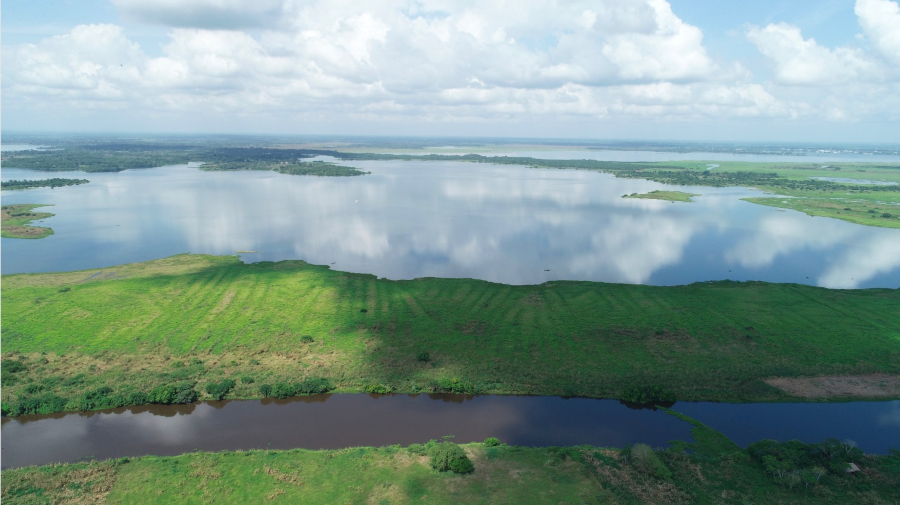 Paisajes Emergentes / Foto: Museo arqueológico MUSA