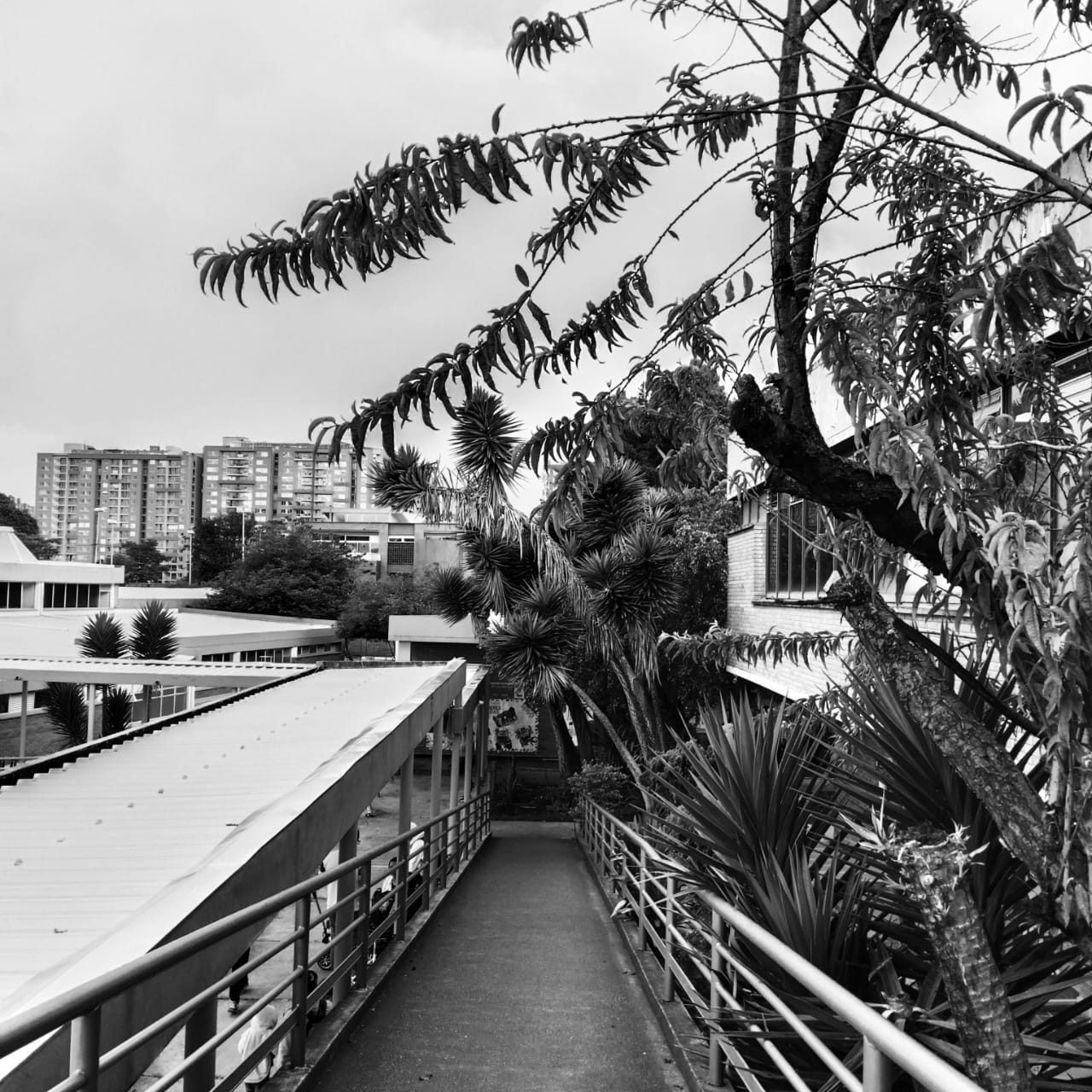 Agenda de actividades de programación cultural en las bibliotecas de Bogotá, BibloRedAgenda de actividades de programación cultural en las bibliotecas de Bogotá, BibloRed
