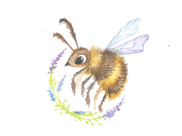 BibloVacaciones: ilustración de bichos al aire libre